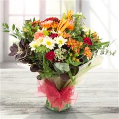 Autumnal Array
